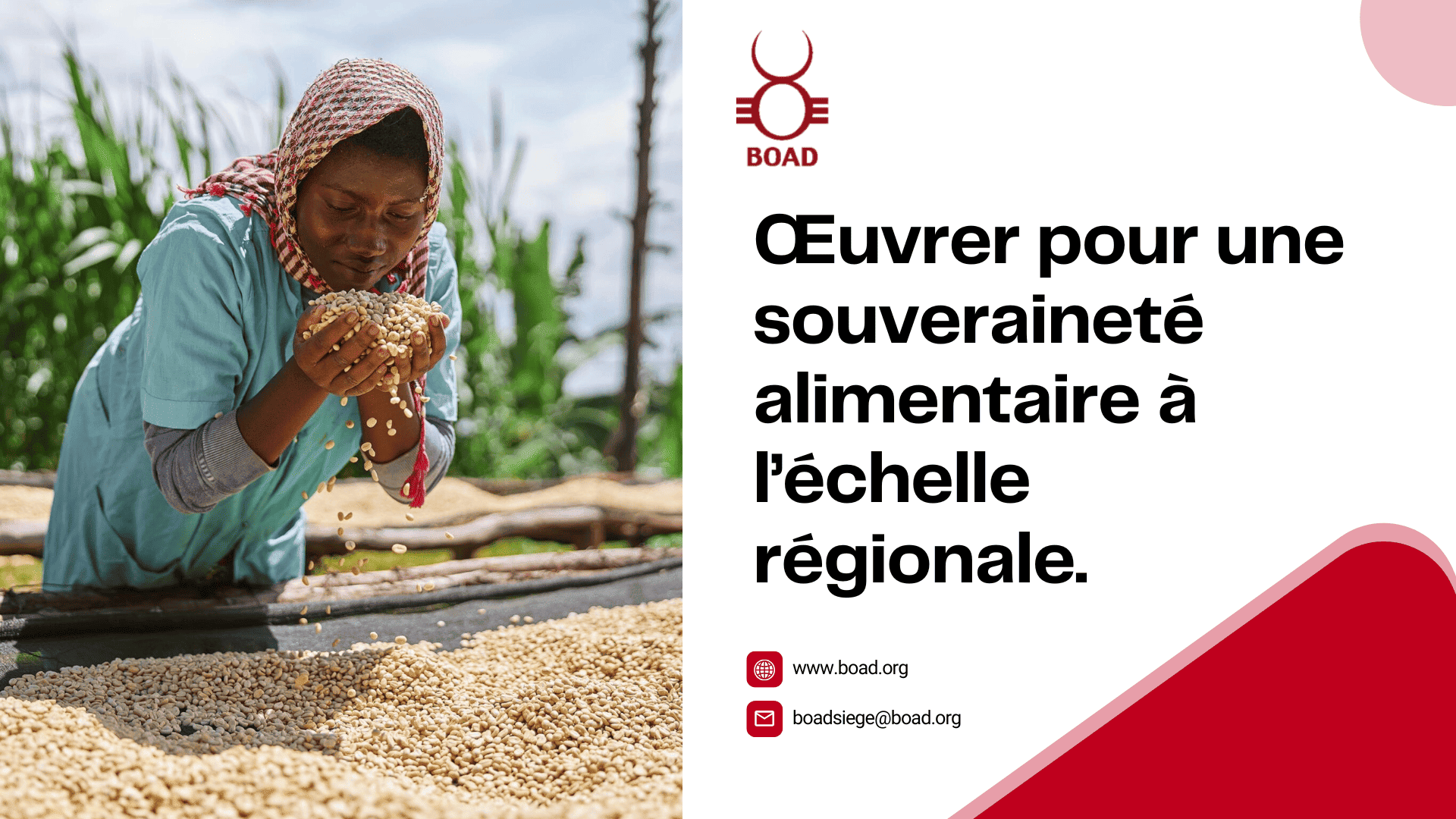 Publicité